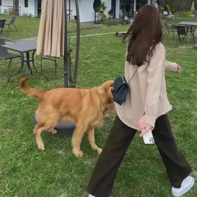 滞留之死